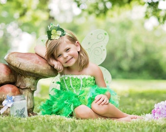 Items similar to Periwinkle Fairy Costume Tutu Dress Tinkerbell and ...