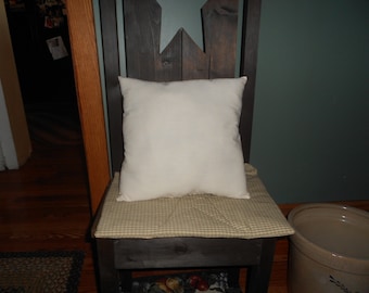 Pillow Insert 16" X 16"