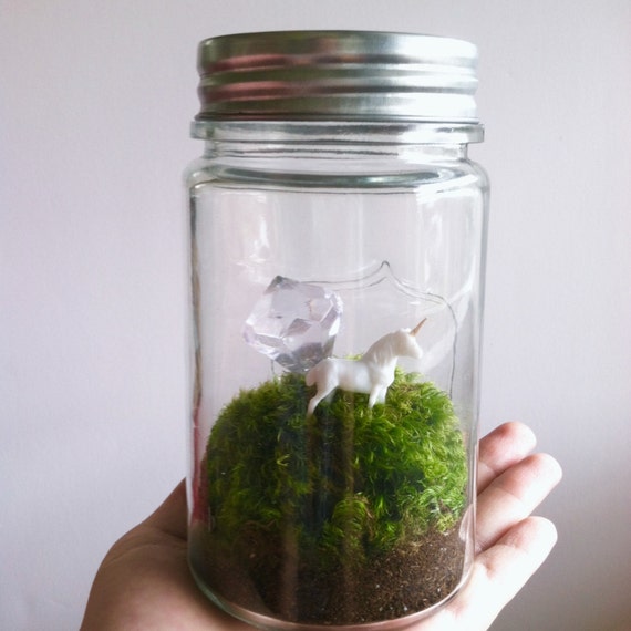 Diamond Unicorn Terrarium Kit Moss Terrarium by TierraSolStudio