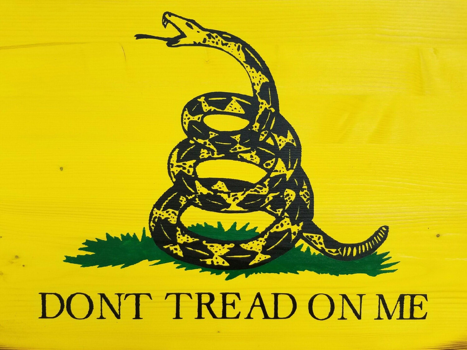 Framed Gadsden Flag