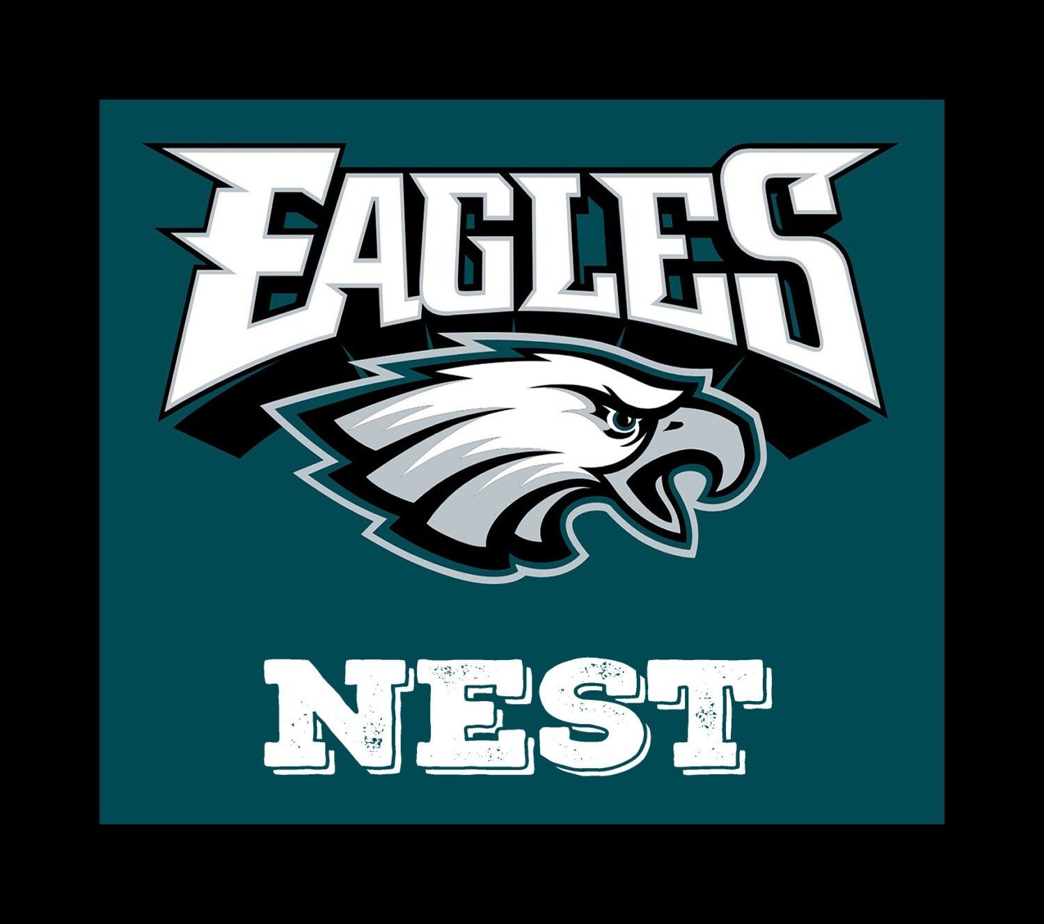 Philadelphia Eagles Nest Art on Canvas 30X40