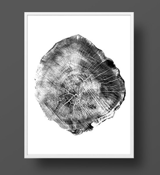 Oak Tree Rings Black and White Photograph by DanHobdayArt on Etsy