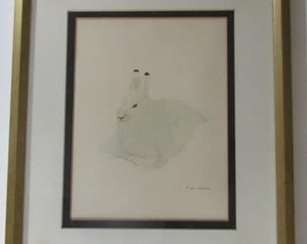 M G Loates Snow Bunny Print