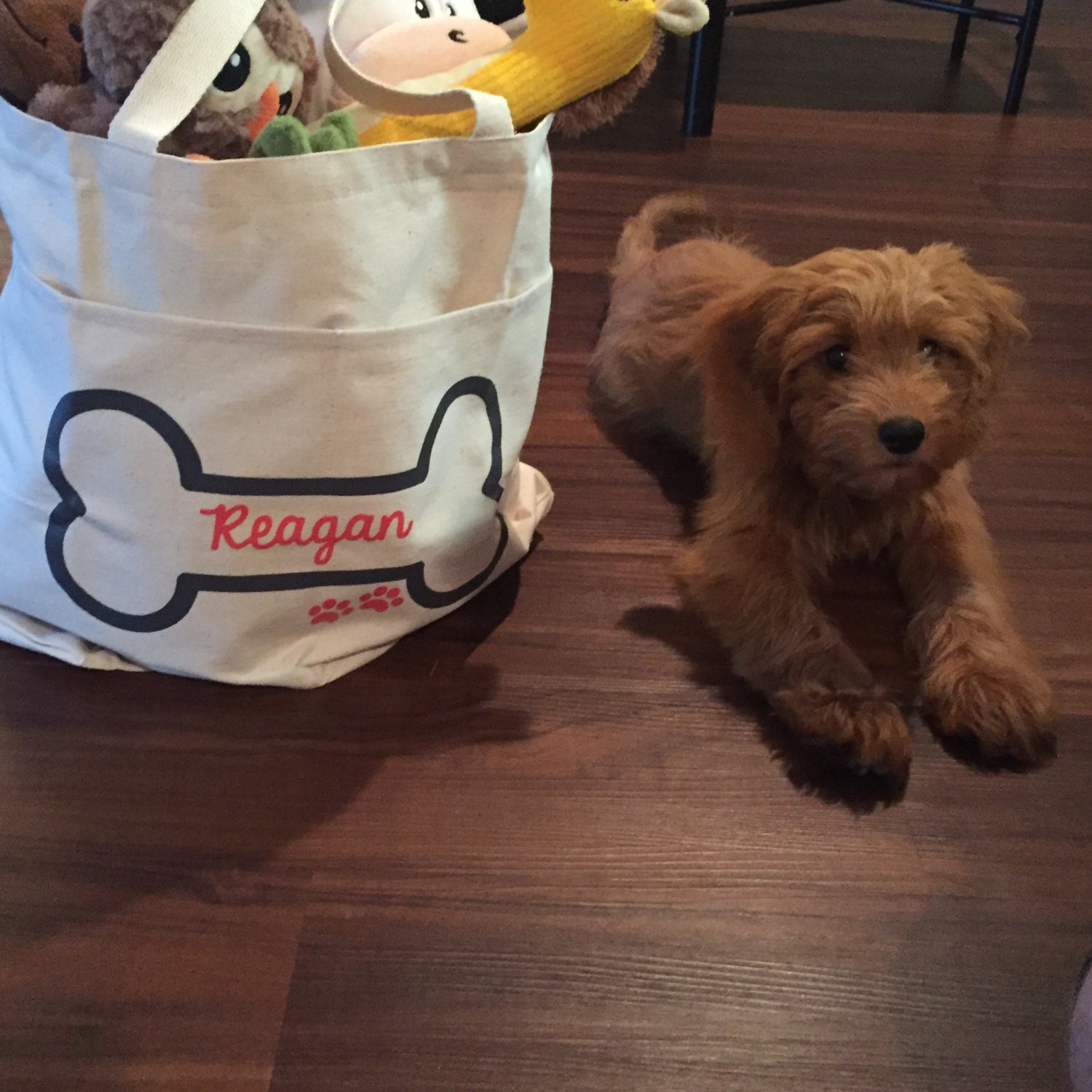 Dog Travel Bag.Dog Overnight Bag.Dog Tote Bag.Pet Travel Bag.