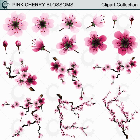 Pink Sakura/Cherry Blossom Clipart Collection