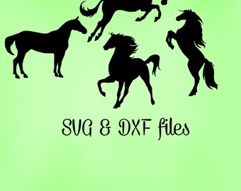 Horse Svg cut files, DXF Rodeo SVG Cutting Template Studio3 files Cricut explore Animal digital files, Horse Designs, Cameo Silhouette files