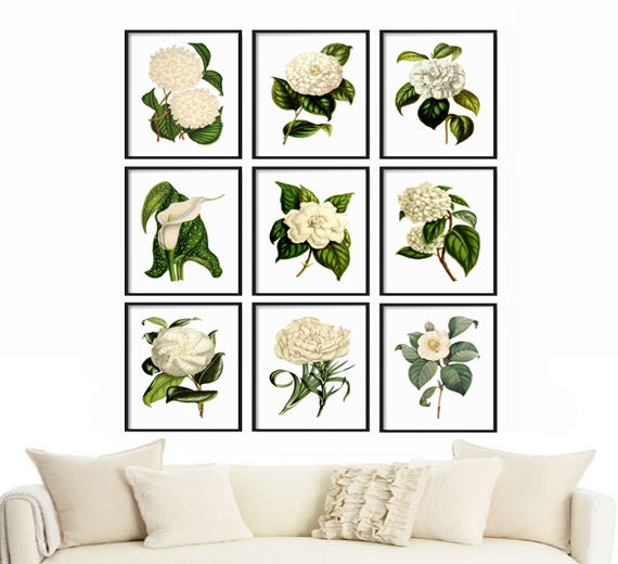 Botanical Print Set of 9 Botanical Prints set Giclee Canvas