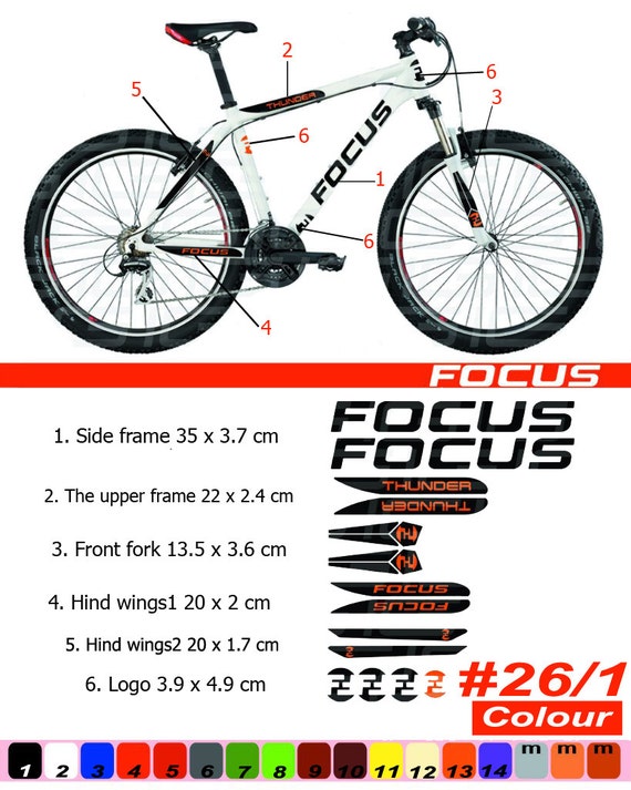 focus bike decals