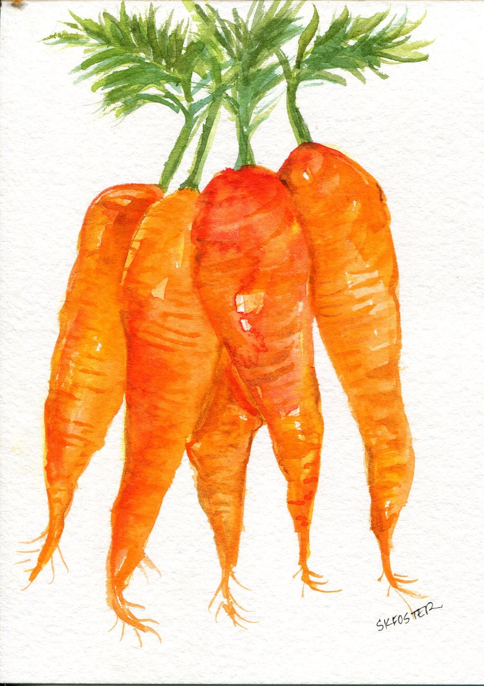 Carrots watercolor painting original vegetables by SharonFosterArt