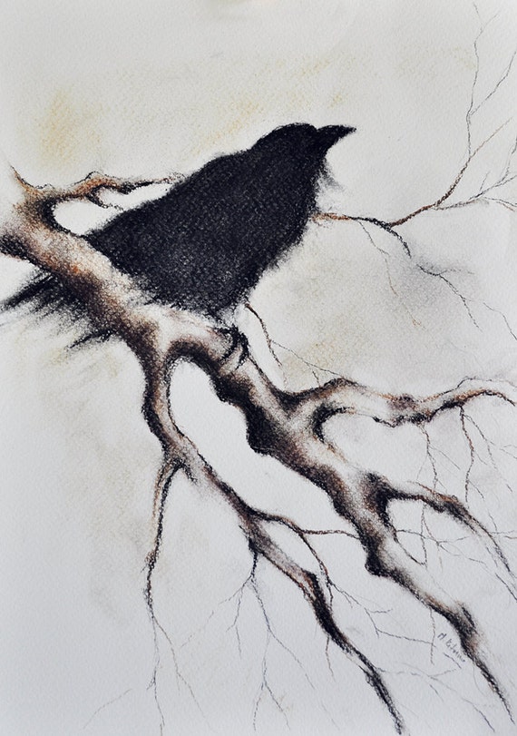 Original Charcoal Drawing Raven on a Branch Crow by AbstractArtM