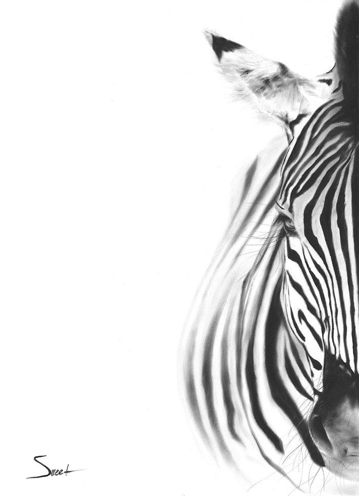 ZEBRA ART PRINT realistic zebra animal art print zebra
