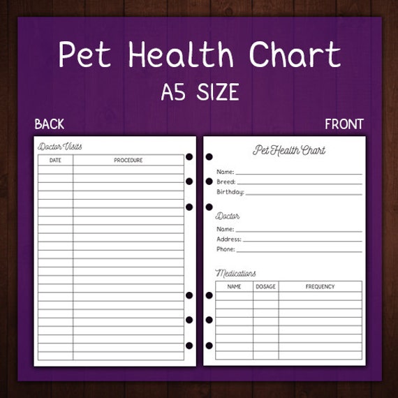 Charting Supplies Medical Records More Products