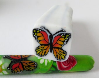 Fresh Polymer clay Fimo Cane