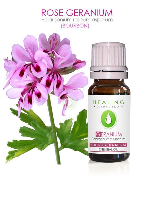 Rose geranium essential oil 100% pure bourbon geranium oil Rose geranium essential oil 100% pure bourbon geranium oil
