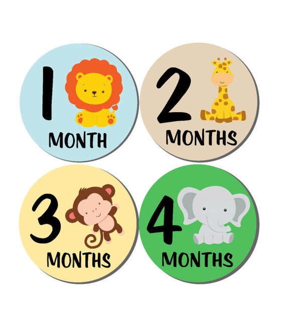 Download 12 month stickers Monthly Stickers Milestone Sticker Baby