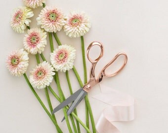 Rose Gold Scissors (Rose Quartz)