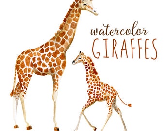Watercolor Giraffes, Zoo Animals Watercolor Giraffe Clip Art, Africa Clipart, African Wild Animal Clip Art, Savannah Clipart, baby giraffe