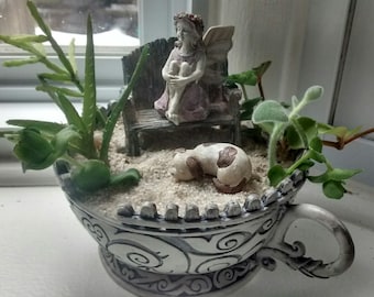 Miniature Fairy Garden Kit w/ Succulent Cuttings, Teacup Container Planter, Puppy Dog, white picket fence
