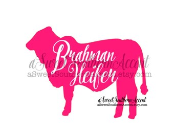 Brahman cow | Etsy