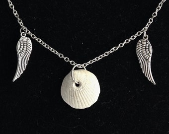 angel wing seashell – Etsy