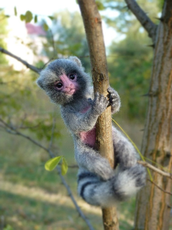 pygmy marmoset toy