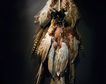 Wild Manchurian Ringneck Pheasant Pelts on a jute Cord