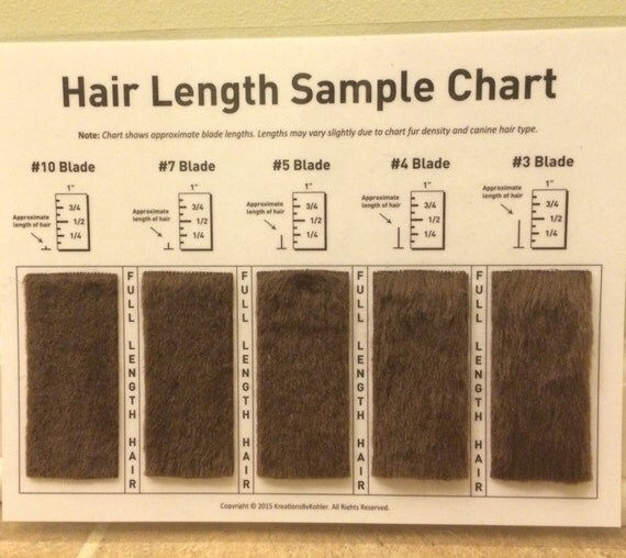 dog grooming hair length chart