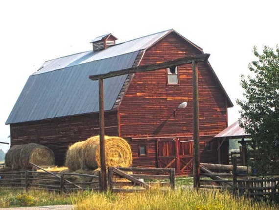 Big Red Barn printable by SuddenlySensational on Etsy