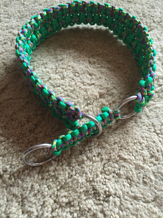 Wide martingale paracord dog collar with marine grade O rings