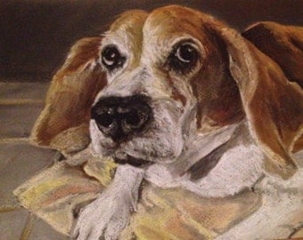 Custom hand drawn pet portrait A4