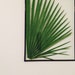 Pressed Palm Leaf Botanical Framed 11x14 Herbarium Pressed