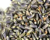English Lavender Blue | Organic Dried Lavender | Lavender tea | high culinary grade