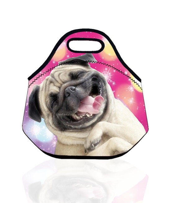 lunch pet bag