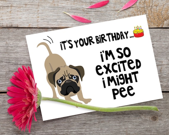 funny-printable-birthday-card-funny-dog-birthday-card