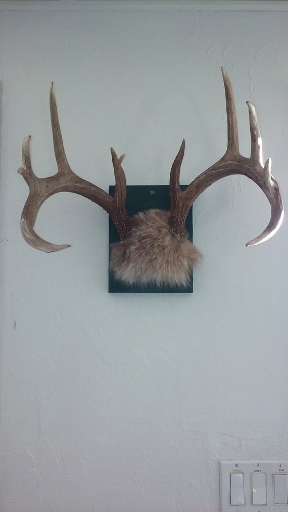 Horns Deer Mount Mancave Man Cave art by TheManCaveSupplyHous