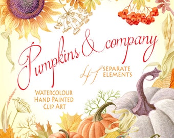 Watercolor clipart - Pumpkins & company, Pumpkin, separate elements, autumn leaves, berries, DIY Clip Art, greeting card
