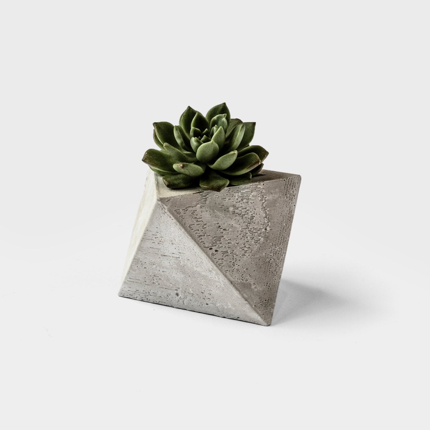 Concrete Succulent Planter | octo concrete planter for succulents cacti Concrete Succulent Planter | octo concrete planter for succulents cacti