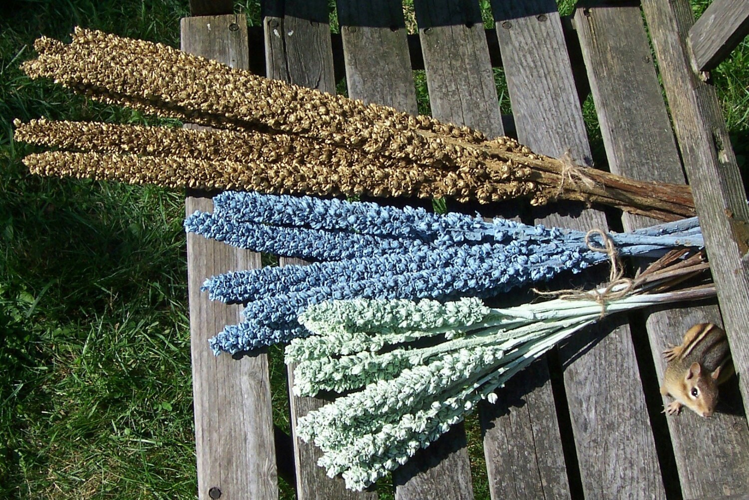 Mullein painted dried flowers small and medium. Floral