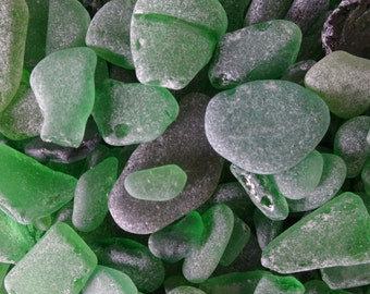Beach glass (sea glass) mixed sizes, shapes and quality. Green, olive, emerald. Approx. 20 grams. Craft, jewellery, decor supplies.