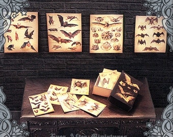 Witches loaves essay picture