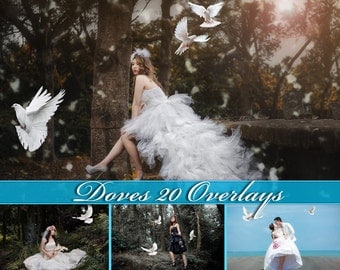 20 Doves Overlays Photoshop Overlays Doves Clip Art Doves Overlay Doves Clipart White Doves Overlays Pigeons Overlays Doves Photo Overlays