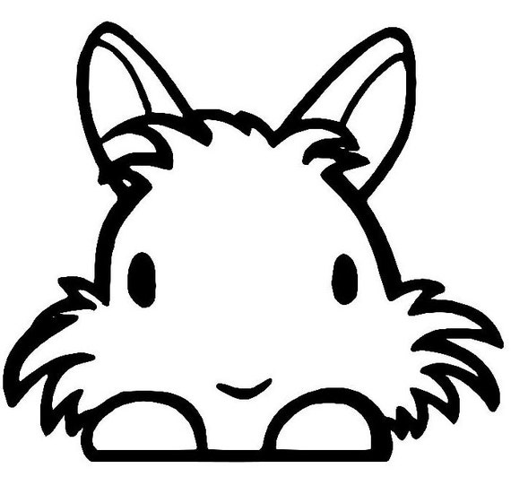 Lionhead Rabbit Peeking Decal by GypsyHeartToBlame on Etsy