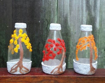 Nature collection series Flamboyanes