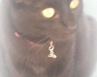 Black Cat Hair, Black Cats, Witchcraft Supplies, Healing Spell, Wicca, Spell Supplies, Hoodoo Supplies, Witch, Spell Aids