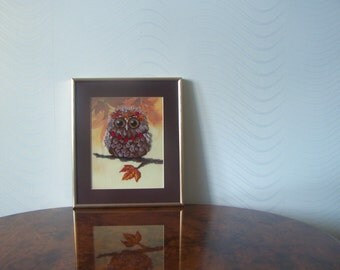 Owlet autumn