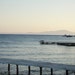 Biene