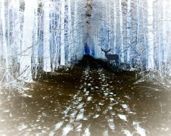 Digital Download Photography..Deer in a Magical Forest..printable wall art..spirit animal..shadow deer..man cave...rustic..cabin decor..blue