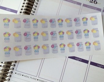 Planner Stickers 33 Mason Jar Stickers Plum Paper Stickers