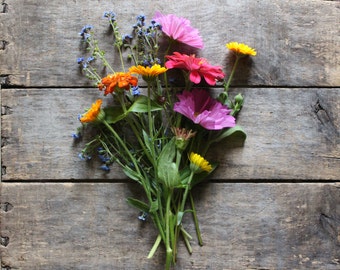 Annual Seeds Mixture, heirloom seeds + organically grown, flower seeds, one seed packet from our farm, eco friendly, gardener gift
