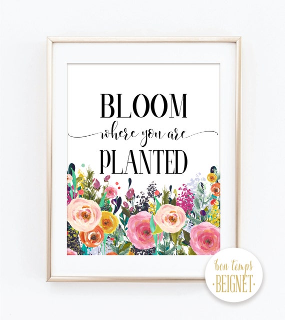 Bloom Where You Are Planted Corinthians Bible Verse